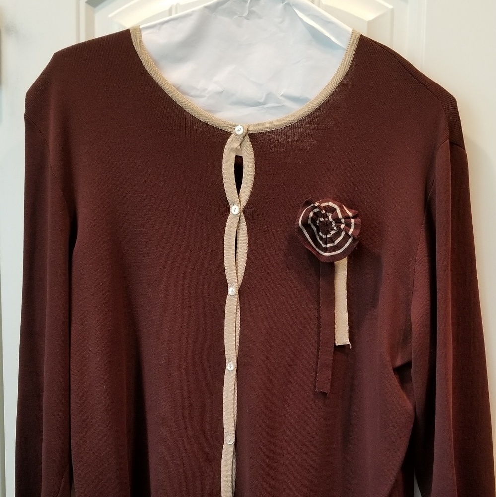 Finity Woman Brown Cardigan Sweater Sz 1X